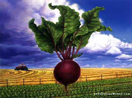 Beet farm sky vegetable Stock Art Image